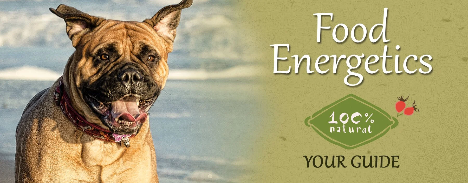 Neutral proteins deals for dogs