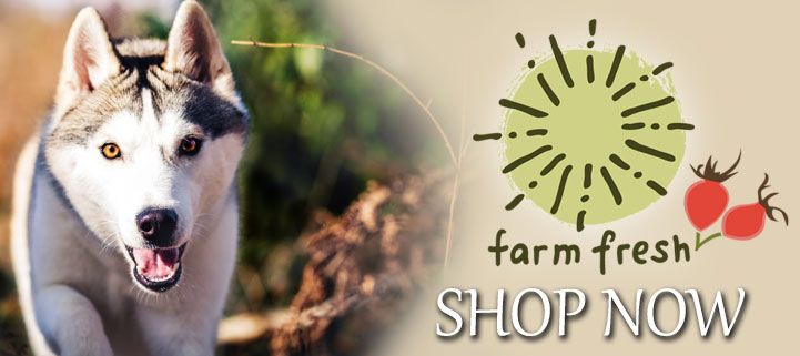 Nutriment pets at home top