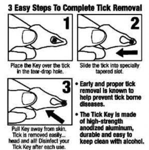 How to use a tick key