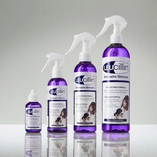 Leucillin for dog eye infection on sale