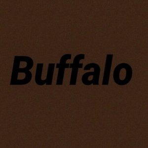 Buffalo