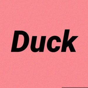 Duck