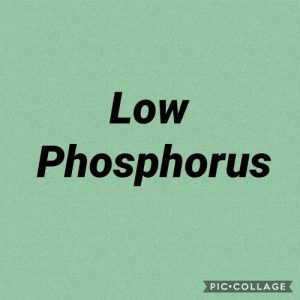 Special diets, including low phosphorus.