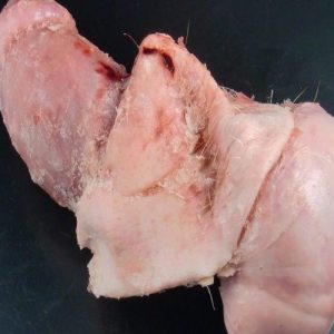 The Dogs Butcher Pigs testicles (1 pair)