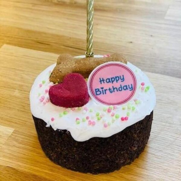 Happy Birthday Doggy Cake - Life Of Riley