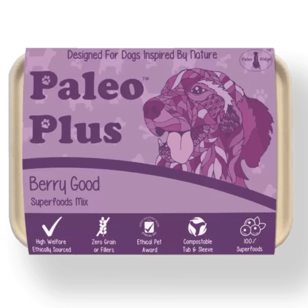 Paleo Plus Berry Good