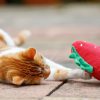 Petface strawberry cat toy in action