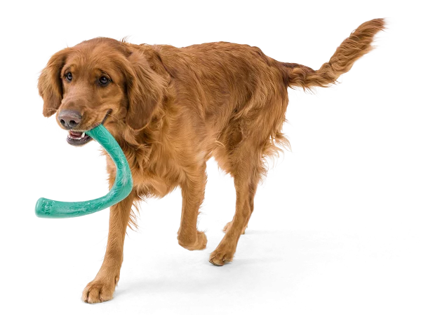 WestPaw, DogToys, Chew, Tug, Greensforhealthypets, Play