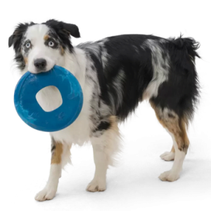 WestPaws, Dogtoys, Greensforhealthypets, Chewer, Throwing