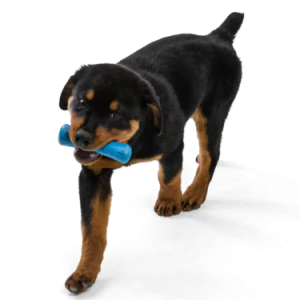 WestPaws, Toys, Play, Greensforhealthypets,