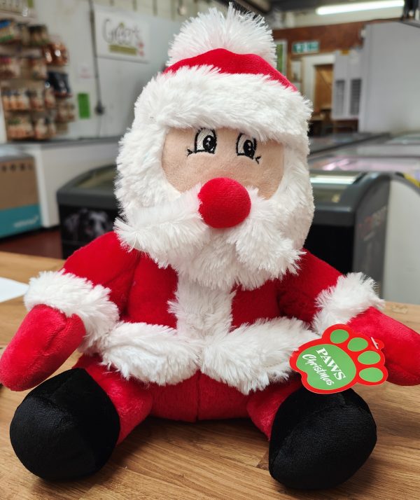 Xmas, Dogtoy, Greensforhealthypets