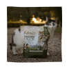 CatEden, Greensforhealthypets